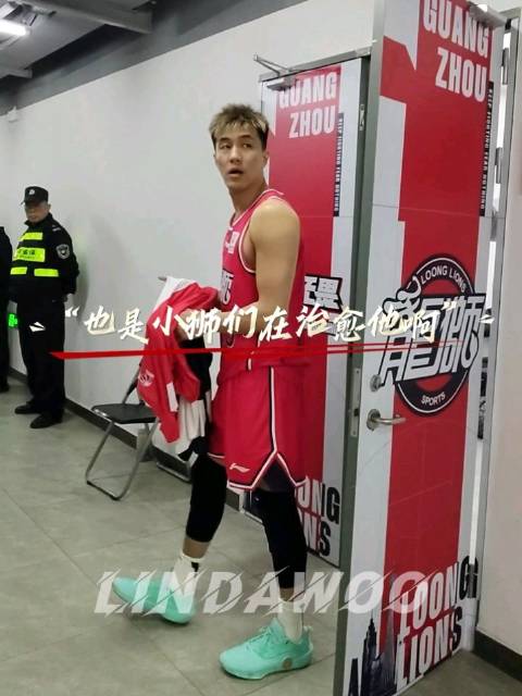 “也是小狮子们在治愈他啊”