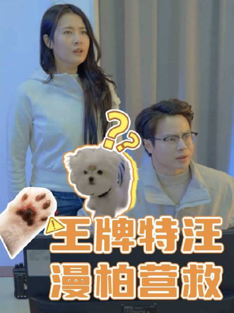 人才公寓宠物犬越狱，管家操控监控成功营救