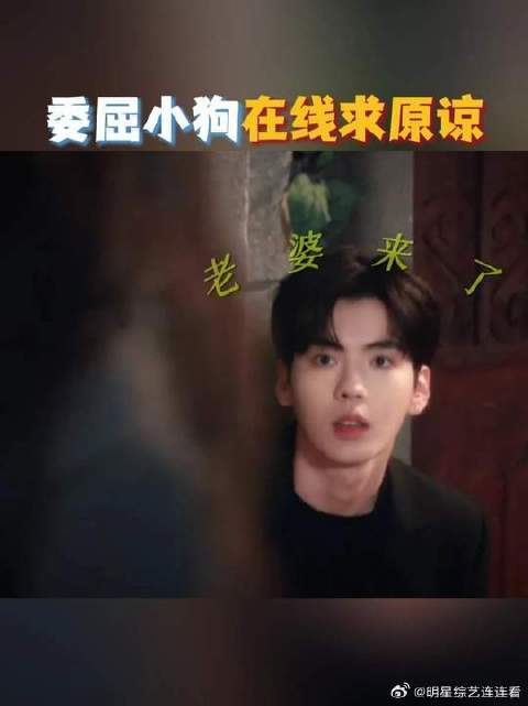 姐姐吃醋喽，小狗的求生欲已经溢出屏幕