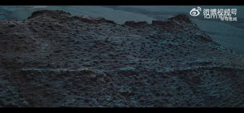 马思纯为生命树宣传，提及杨紫谈拍摄艰辛