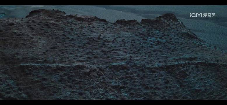 马思纯为生命树打call：“为你们骄傲，为你们加油”