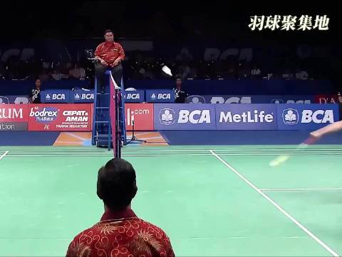 羽坛王祖贤的这一球，还是太秀了！ 王适娴 谌龙