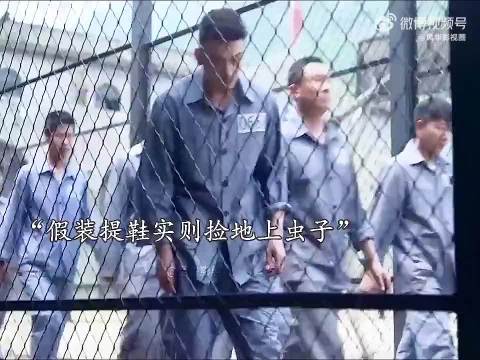 这是啥虫子？这么见效？