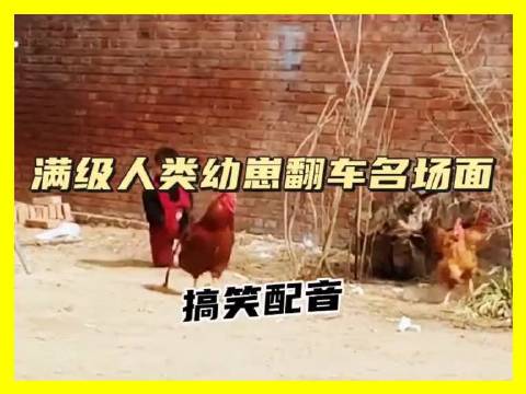幼崽骑车变表情包走路摔出花