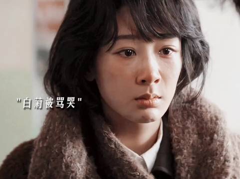 白及邵云飞保护白菊获赞生命树跨年电影引关注