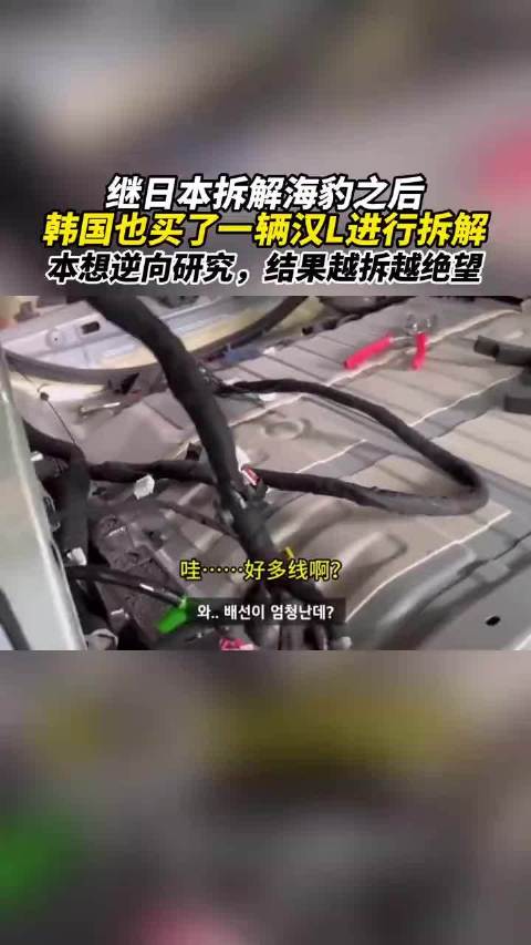 视频：韩国拆解比亚迪汉遇技术壁垒,逆向研究陷困境