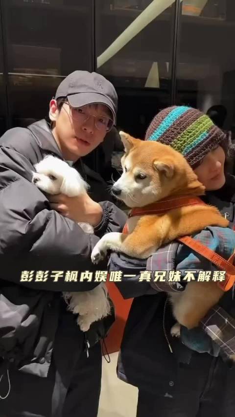 彭昱畅张子枫兄妹同台谢幕引热议