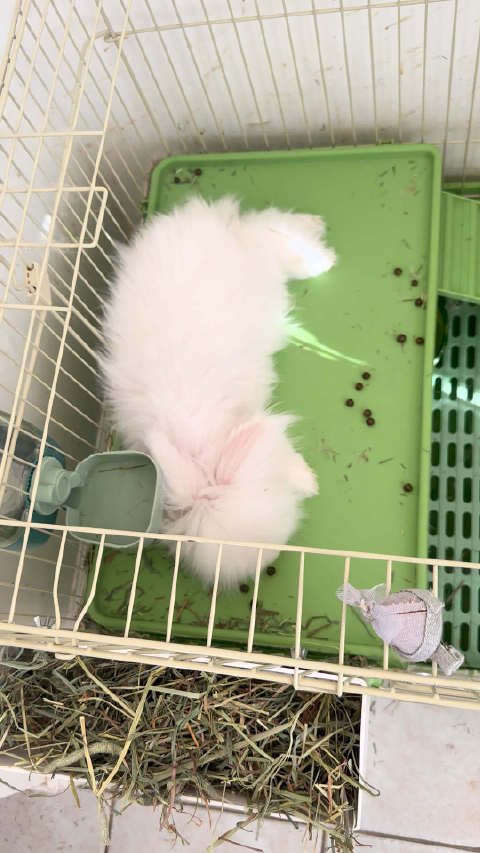 三个岁月静好和一个穷凶极饿