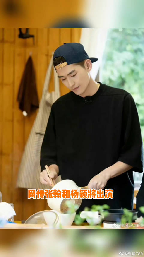 张翰 出演微博VC计划