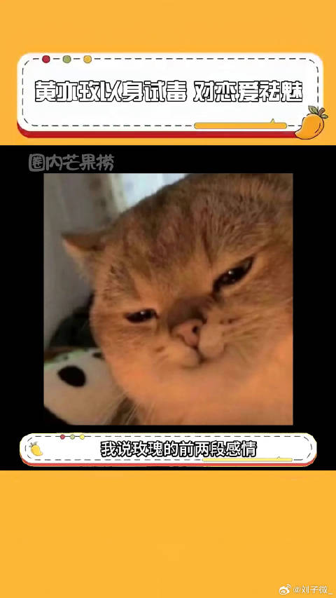 玫瑰的故事 彭冠英 微博VC计划