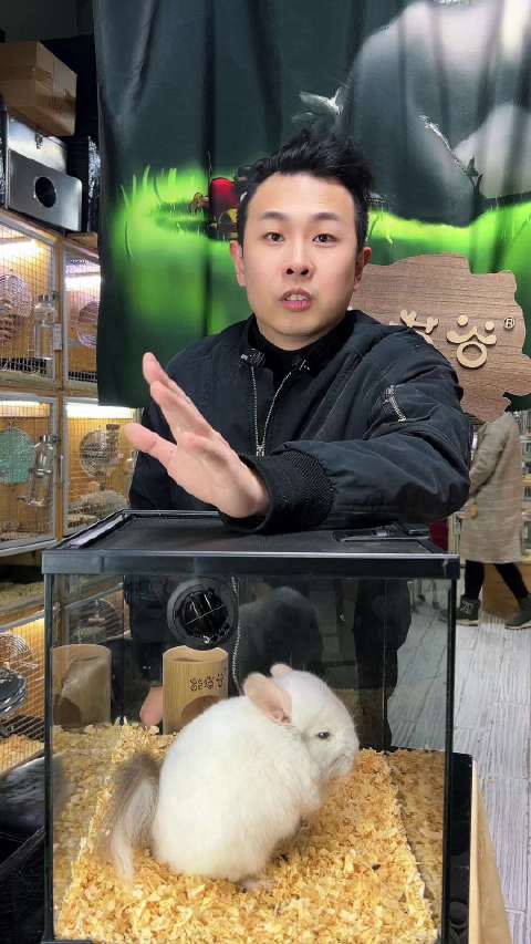 你见过蓝色眼睛的龙猫吗