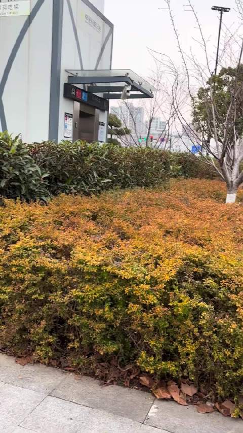 南通和平桥地铁站电瓶车电瓶深夜被盗，市民需加强防范