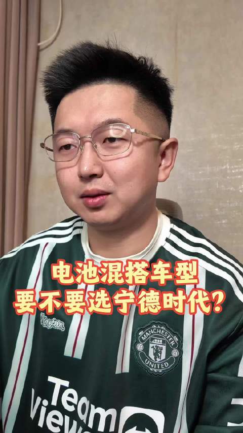 混搭电池的车型，到底该怎么选？