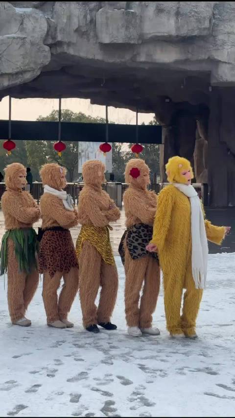 孙悟空屡返花果山原因引深思