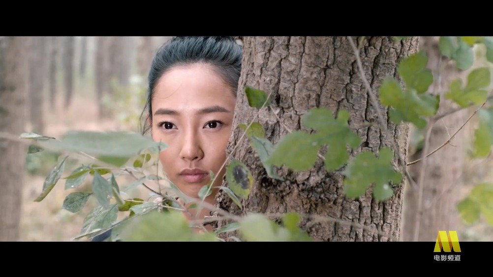 《捉妖记》今晚20:05电影频道播出，白百何井柏然主演