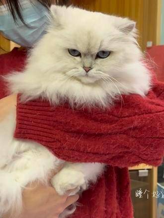 矶抚开启假期模式！出差途中来场网球对决如何？