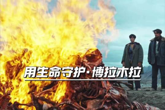 电视剧生命树经费紧张却获赞真心