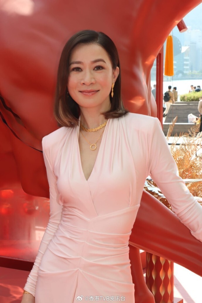 佘诗曼出席活动避谈2亿身家传闻 目前暂无新剧计划