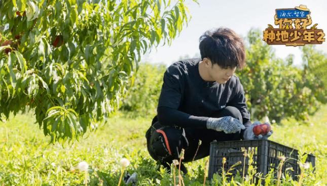 被汪峰认可,与王心凌合作,《你好种地少年2》里的他很有潜质!