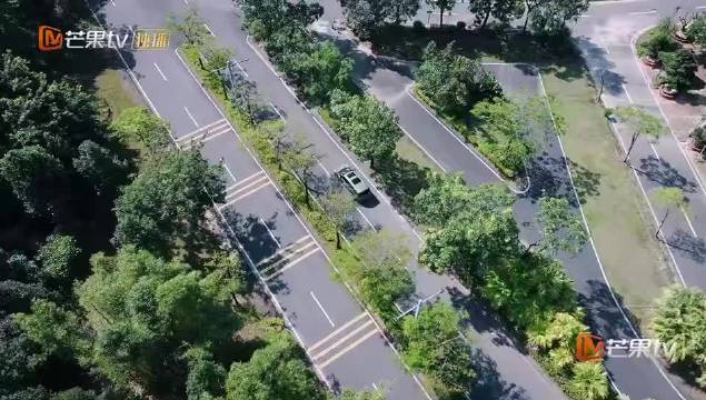 程潇再任偶练导师与少年同台引回忆