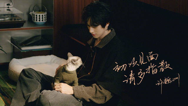 也是和男明星合作上了