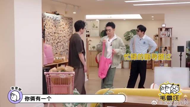 白客大鹏出门必带墨镜，李雪琴：为啥呀？回答爆笑全场！