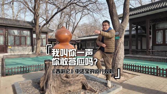 西游记中的法宝有哪些运行规则