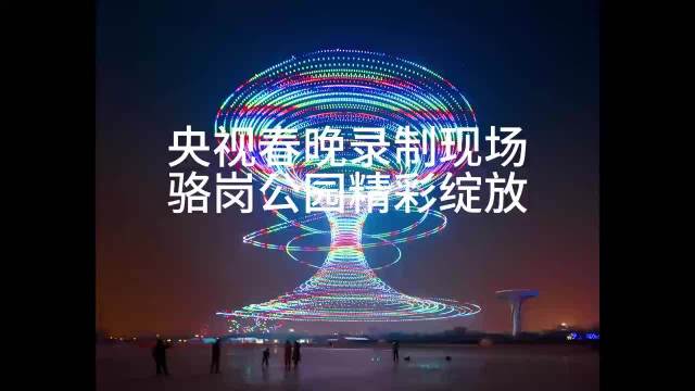 太震撼了，合肥春晚分会场（骆岗公园）万架无人机表演炫酷了