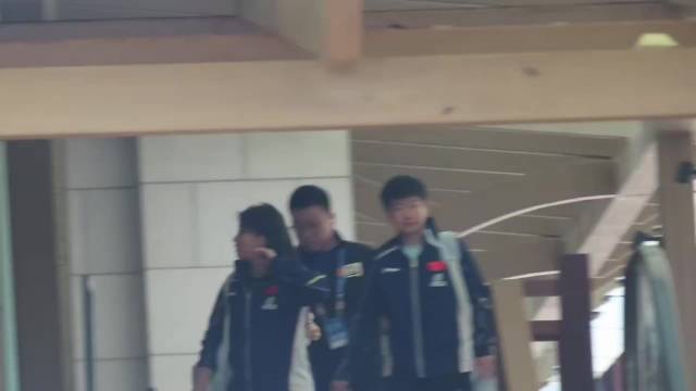 男单：王楚钦、林诗栋、梁靖崑、向鹏、周启豪