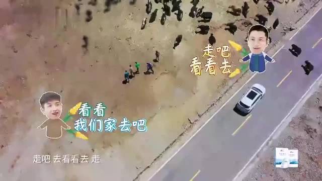 杨超越没有单人间，要跟哥哥们打铺盖，整个人都傻了！