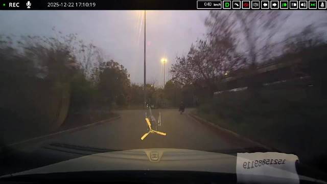 网友吐槽：刚发的工资就没了，车损一定要买啊！ 你认为视频车有责任吗？