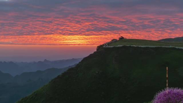 便民路变闹心路，“组组通”建设养护搞腐败？查！