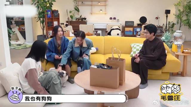 电影照进现实！张子枫戏外收养塔塔，看来真的很喜欢狗狗