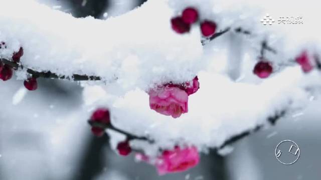 立春昭示着新轮回开始