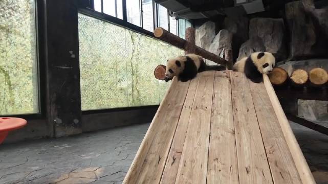 芊然芊逸宝宝体验滑滑梯，这就是速度与激情啊