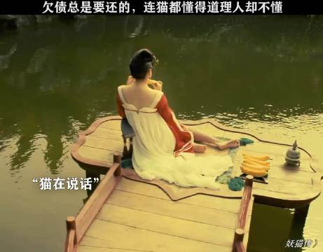 欠债总是要还的，连猫都懂的道理有的人却不懂