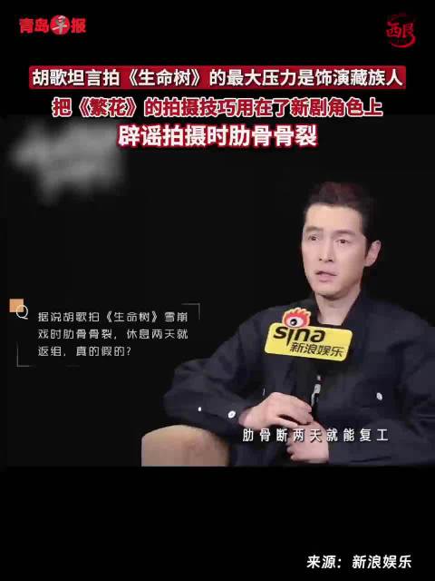 胡歌谈生命树拍摄感受