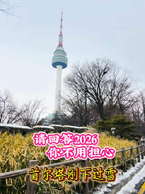 39岁刘心悦首次担任春晚主持人