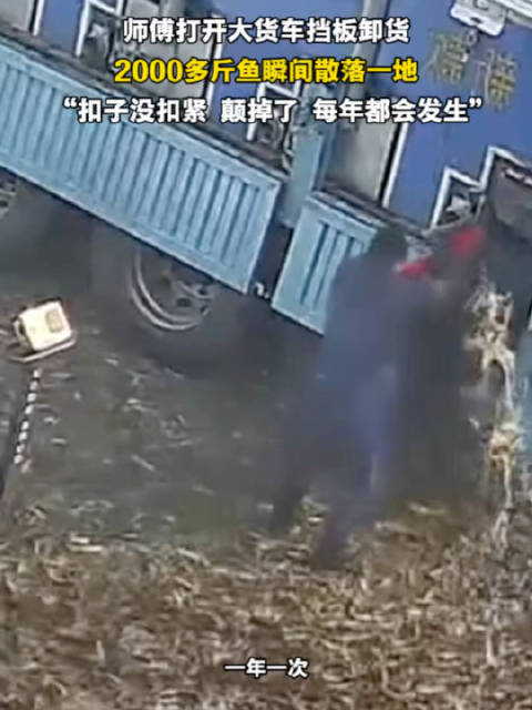 货车挡板松脱致2000斤鱼散落，司机称扣子未扣紧
