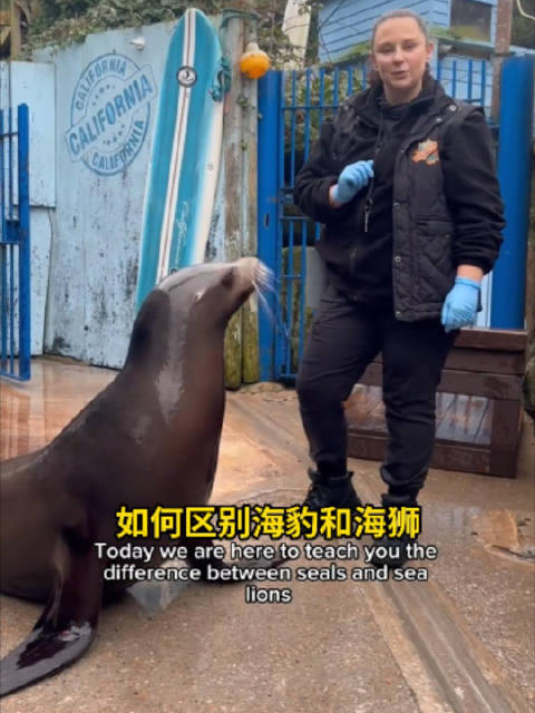 饲养员带海狮海豹现身区分
