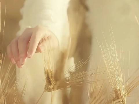 景甜张彬彬《龙骨焚箱》开年重逢，宿命对决引爆奇幻冒险