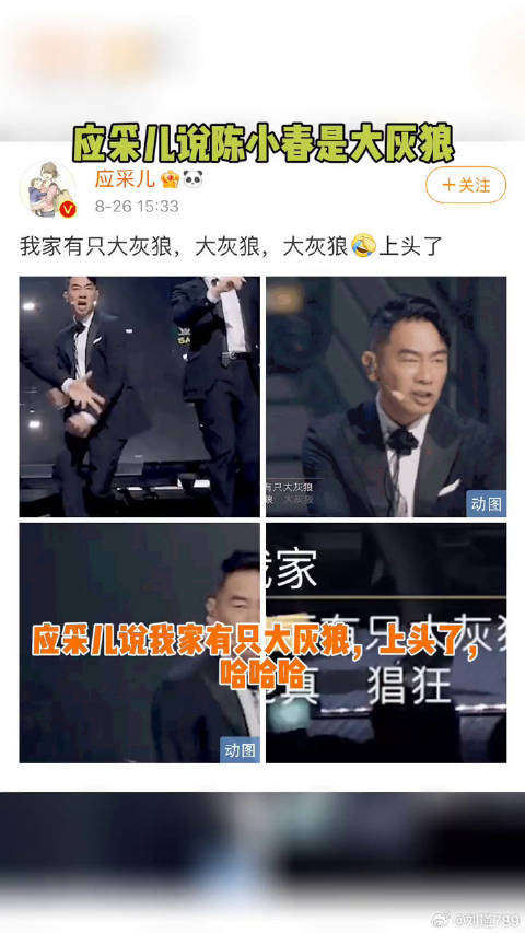 陈小春 是大灰狼，哈哈哈