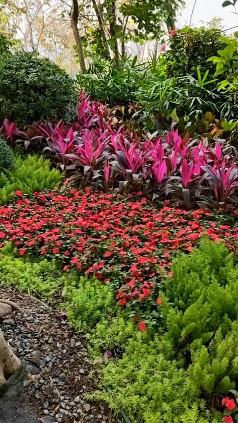 立春恰逢睡眠时段，专家建议顺应天时保持心境平和