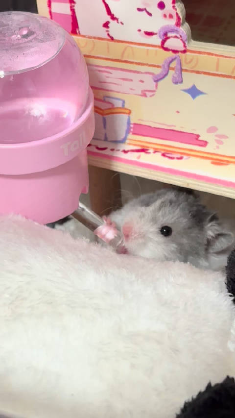 担心你们没见过ee喝水和俊俊吃饭