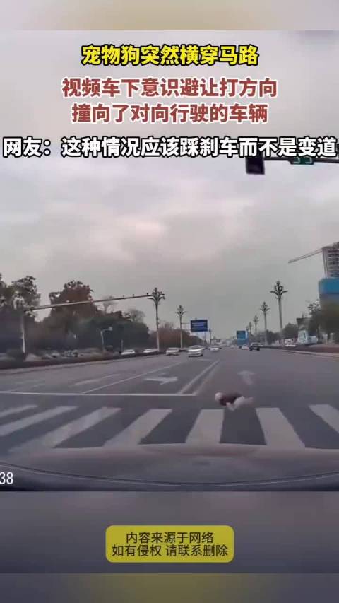 宠物狗突然横穿马路，视频车下意识避让打方向连撞两车！