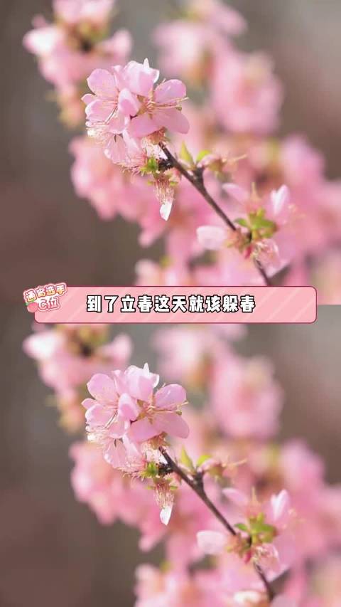 躲春智慧：与旧岁和解迎新生