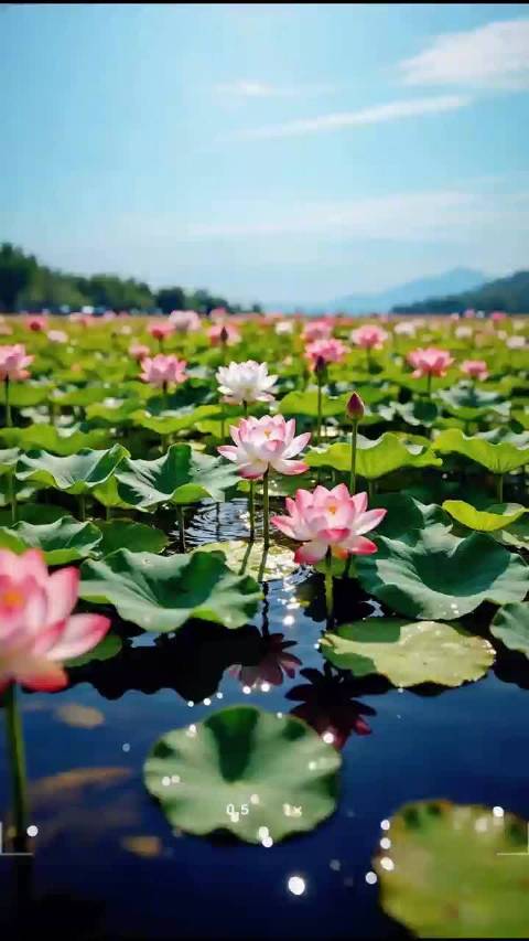 雷佳韩雪加盟2026海南春晚邀您绘廉洁色彩