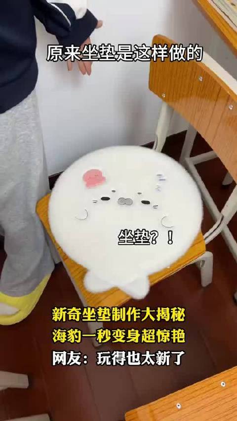 新奇坐垫制作大揭秘，海豹一秒变身超惊艳，网友：玩得也太新了
