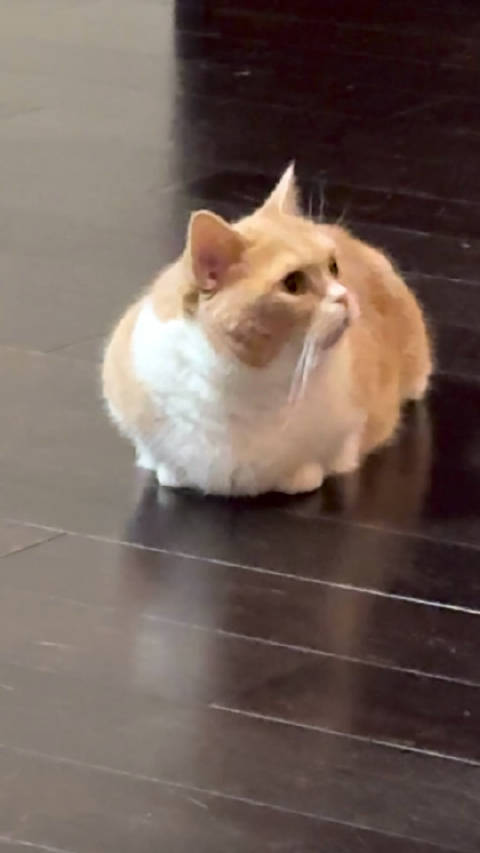 jjy鞠婧祎姜黎非jjy鞠婧祎 大家总喜欢立竿见影 殊不知努力的重要