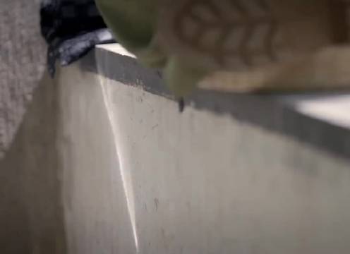 期待俩人的合作